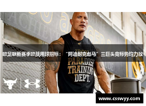 欧足联新赛季欧战用球招标：“阿迪耐克彪马”三巨头竞标势均力敌